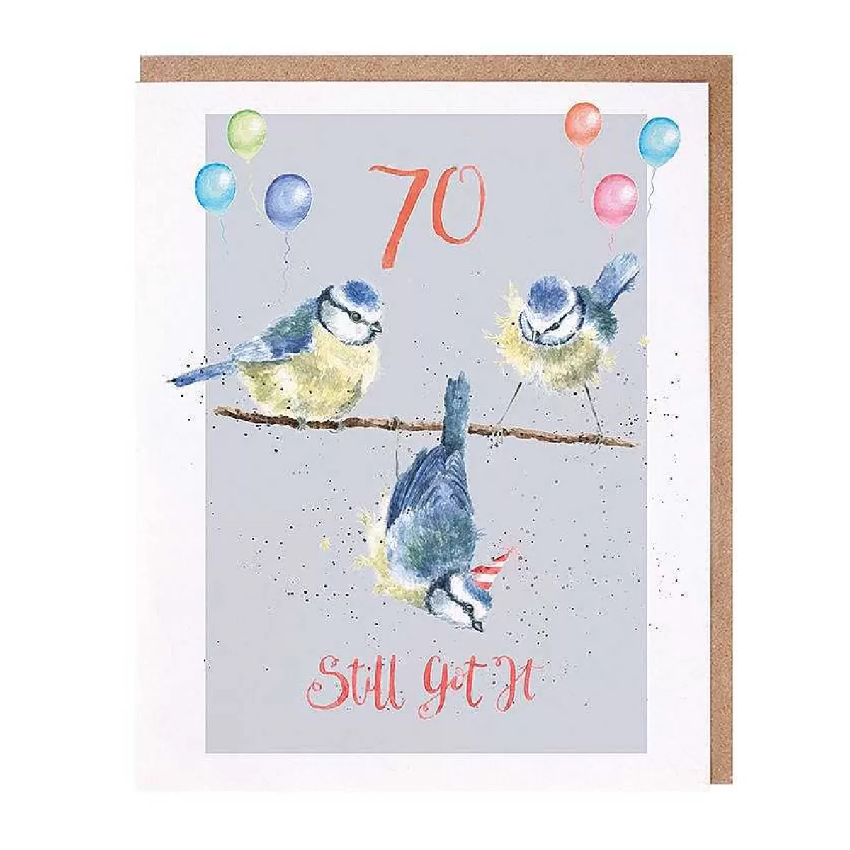 Party Animal Celebration>Wrendale Designs 70 Still Got It' Blue Tit Birthday Card