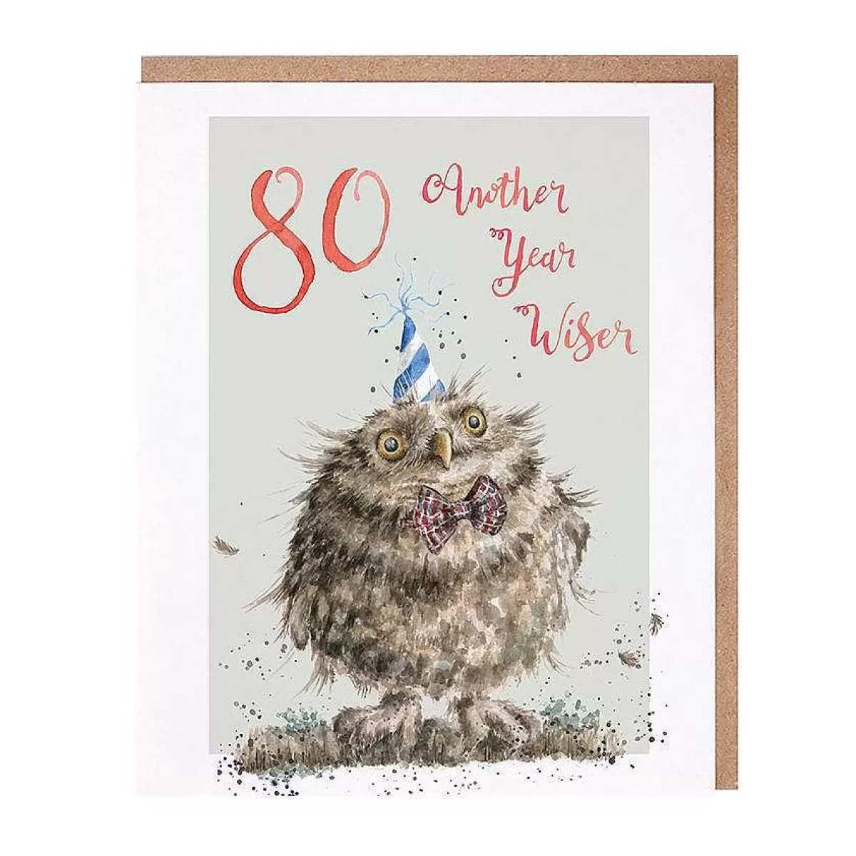 Party Animal Celebration>Wrendale Designs 80 Another Year Wiser' Owl Birthday Card