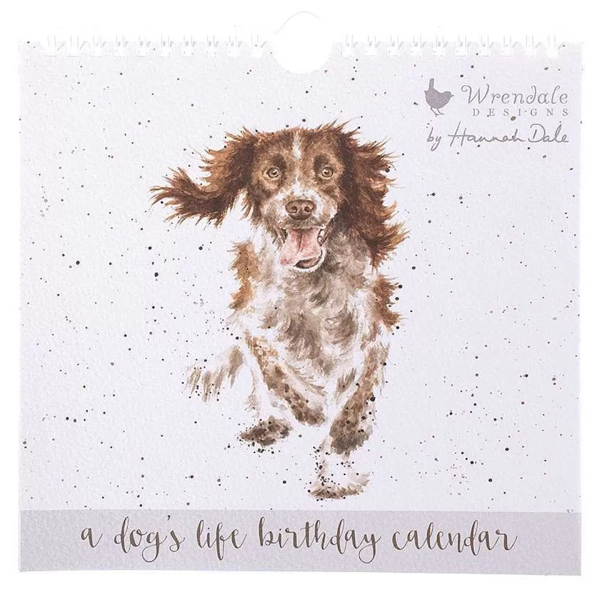 Birthday Calendars>Wrendale Designs A Dog'S Life' Dog Birthday Calendar