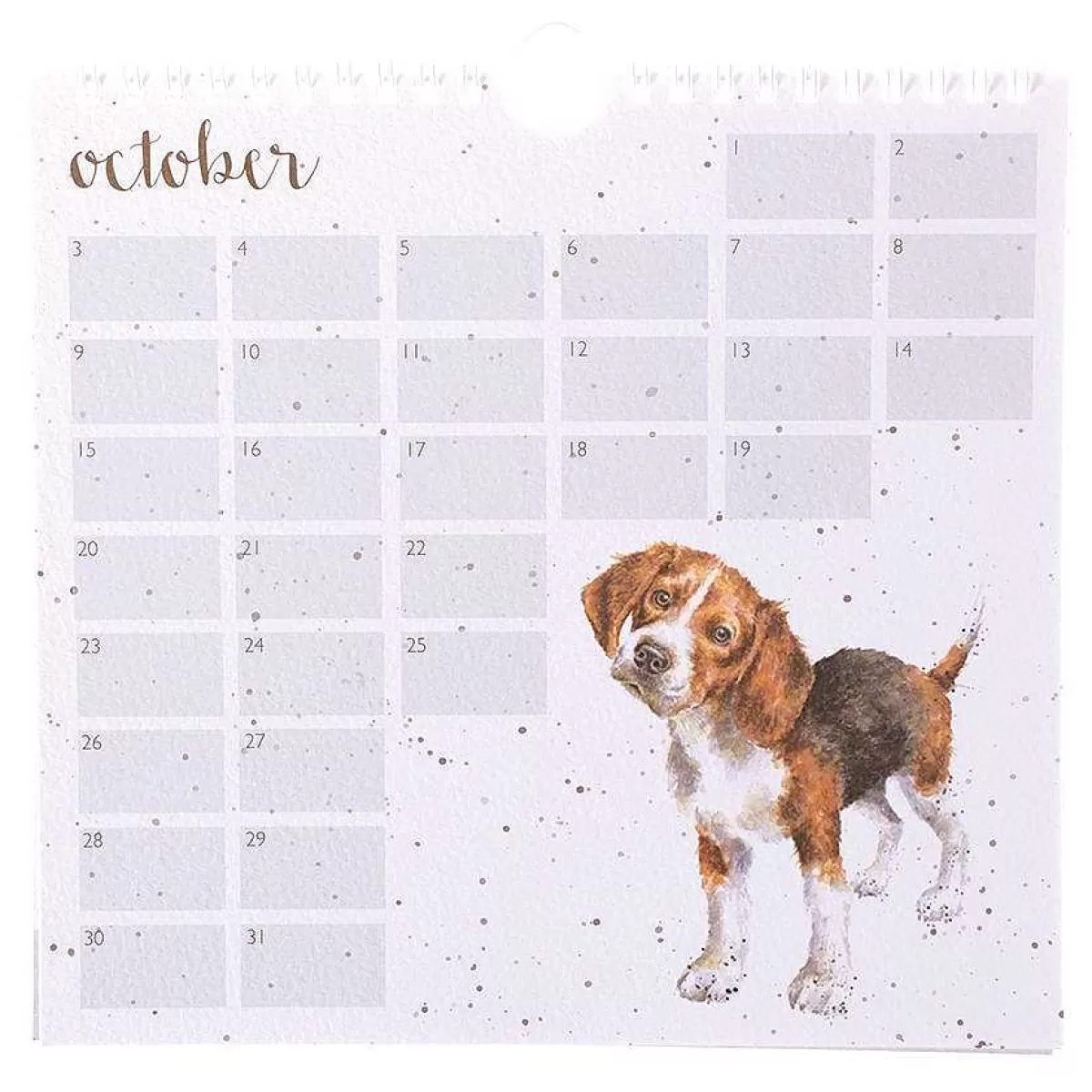 Birthday Calendars>Wrendale Designs A Dog'S Life' Dog Birthday Calendar