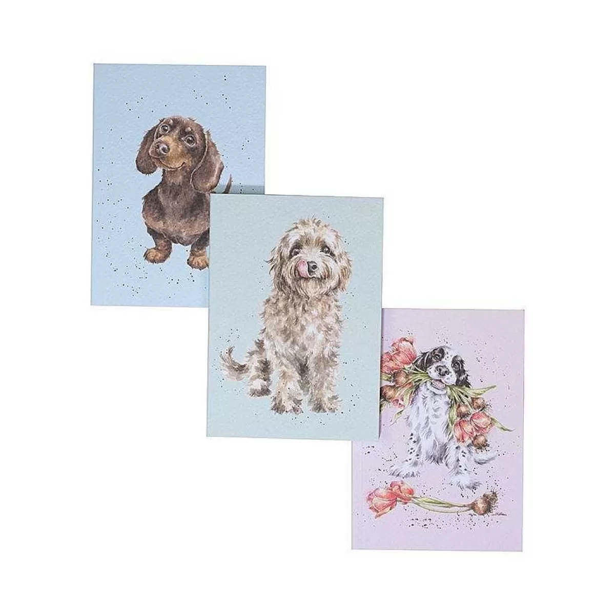 Notebooks & Journals>Wrendale Designs A Dog'S Life' Set Of 3 Dog Notebooks