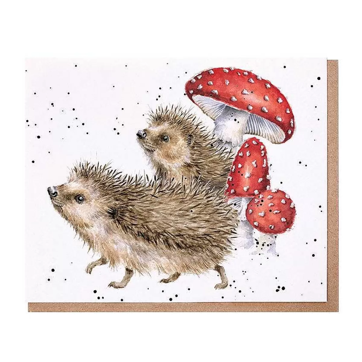 The Country Set>Wrendale Designs A Prickly Adventure' Hedgehog Card