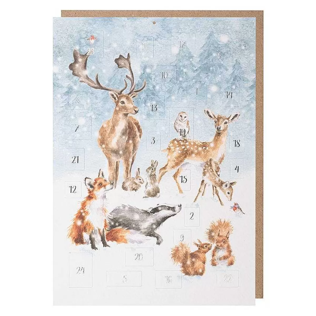 Advent Calendars>Wrendale Designs A Winter Wonderland' Woodland Animal Advent Calendar