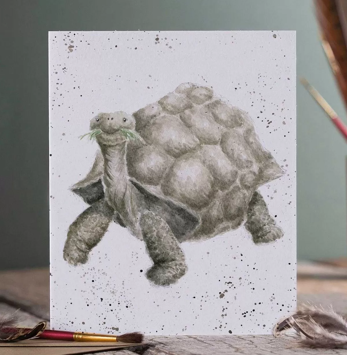 Father'S Day>Wrendale Designs Aged To Perfection' Tortoise Card