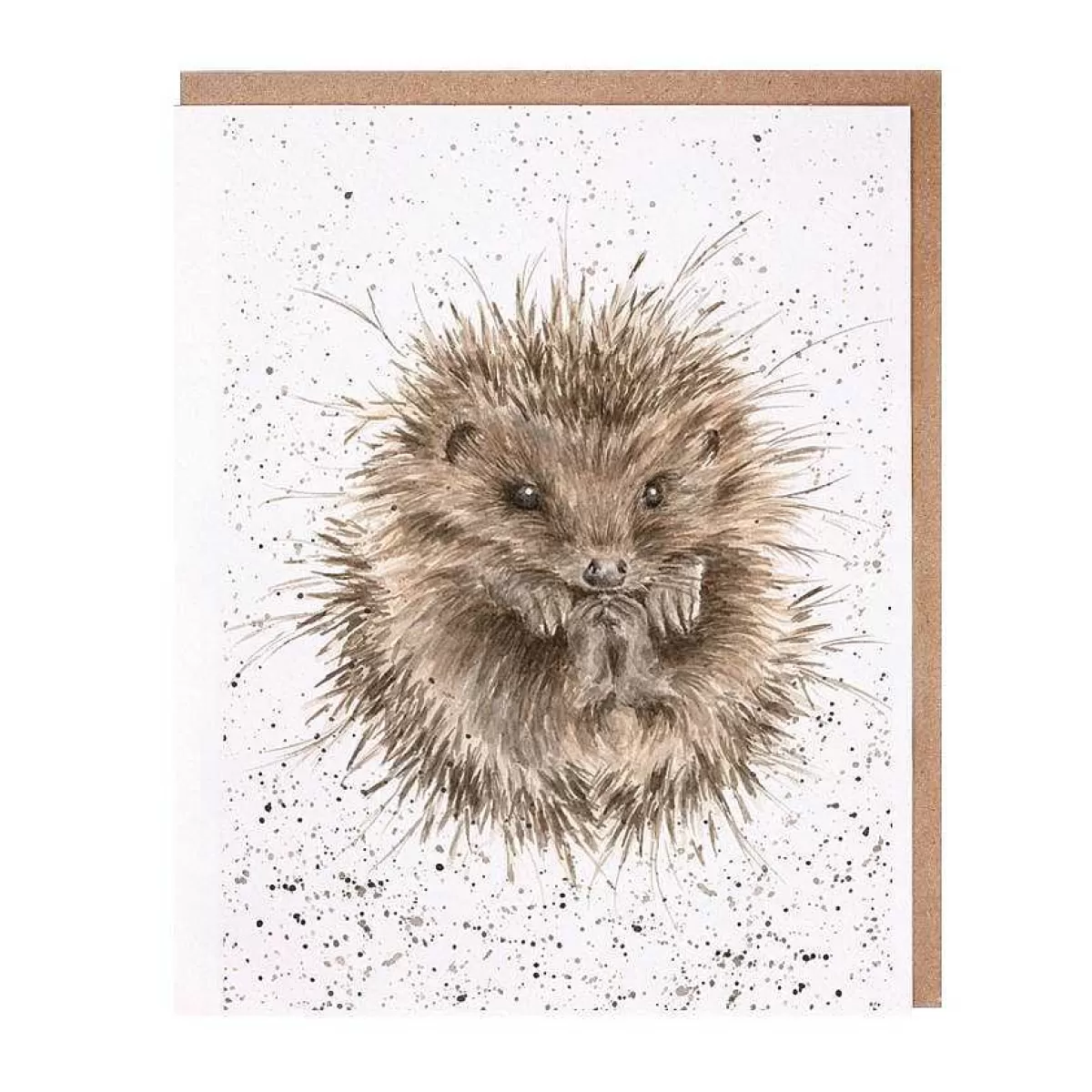 The Country Set>Wrendale Designs Awakening' Hedgehog Card