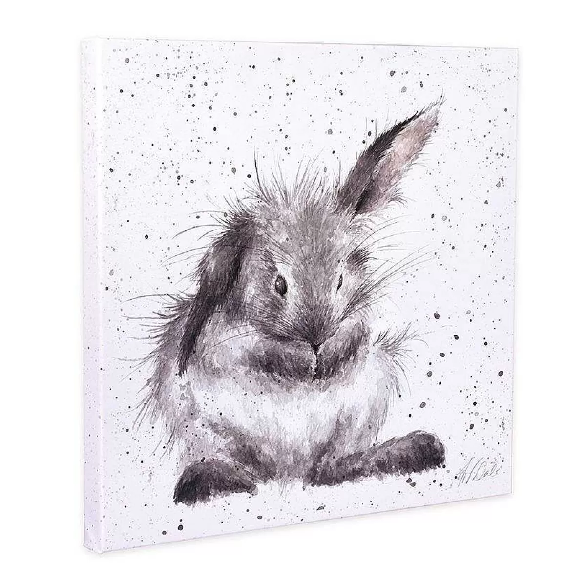 Canvas Prints>Wrendale Designs Bathtime' Rabbit Canvas