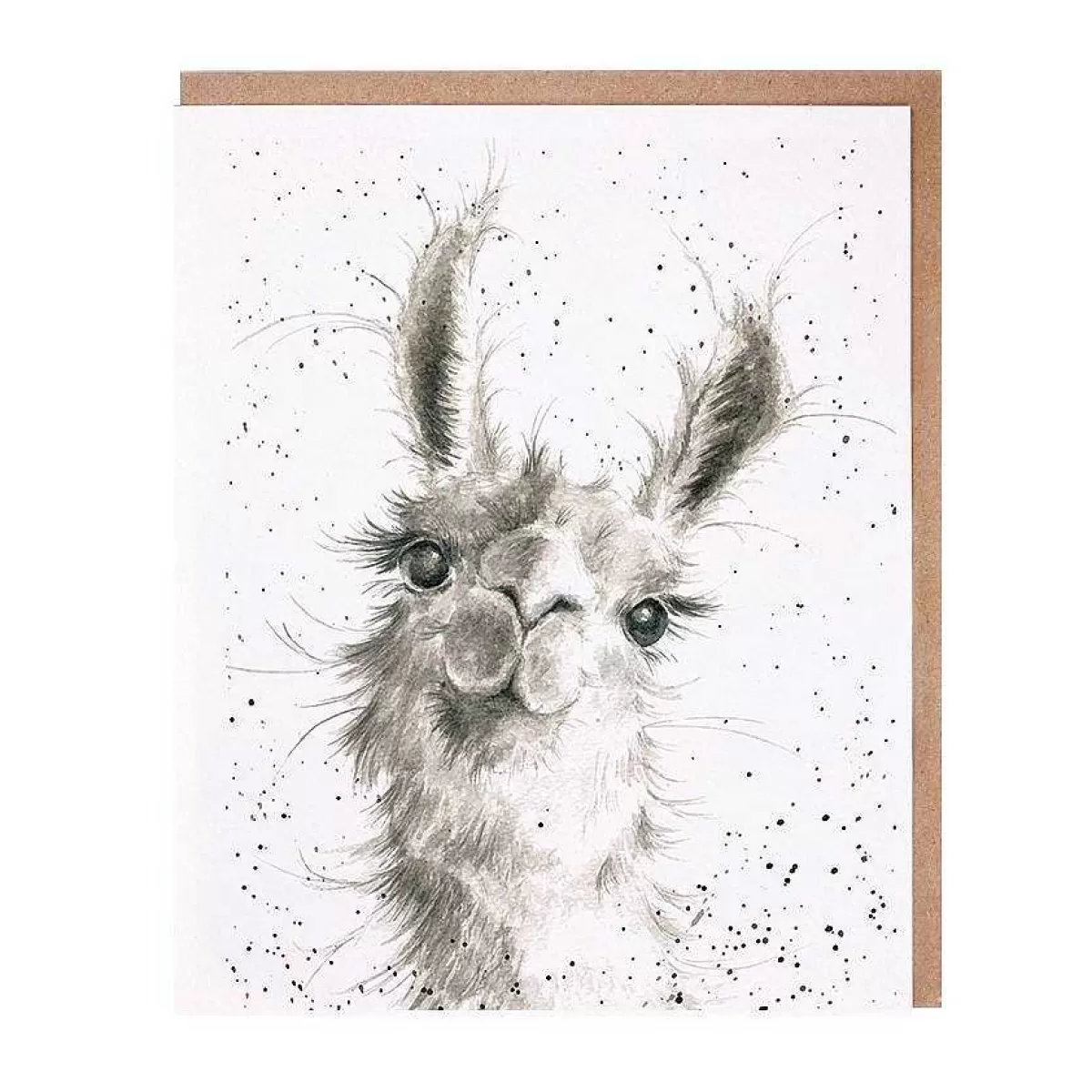 The Zoology Collection>Wrendale Designs Because I'M Worth It' Llama Card