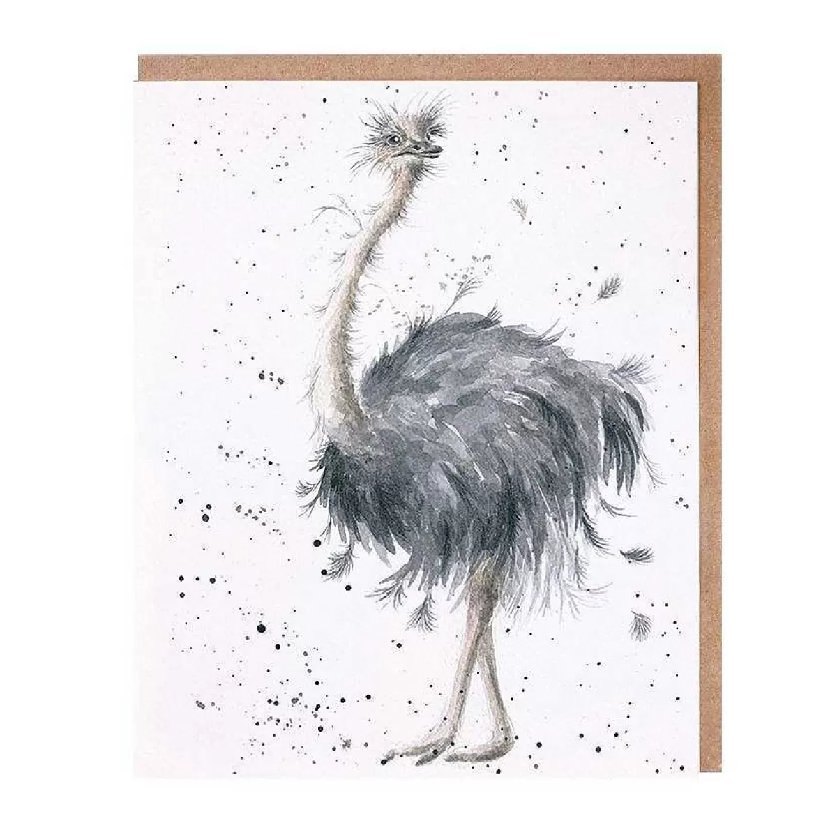 The Zoology Collection>Wrendale Designs Birdy' Ostrich Card