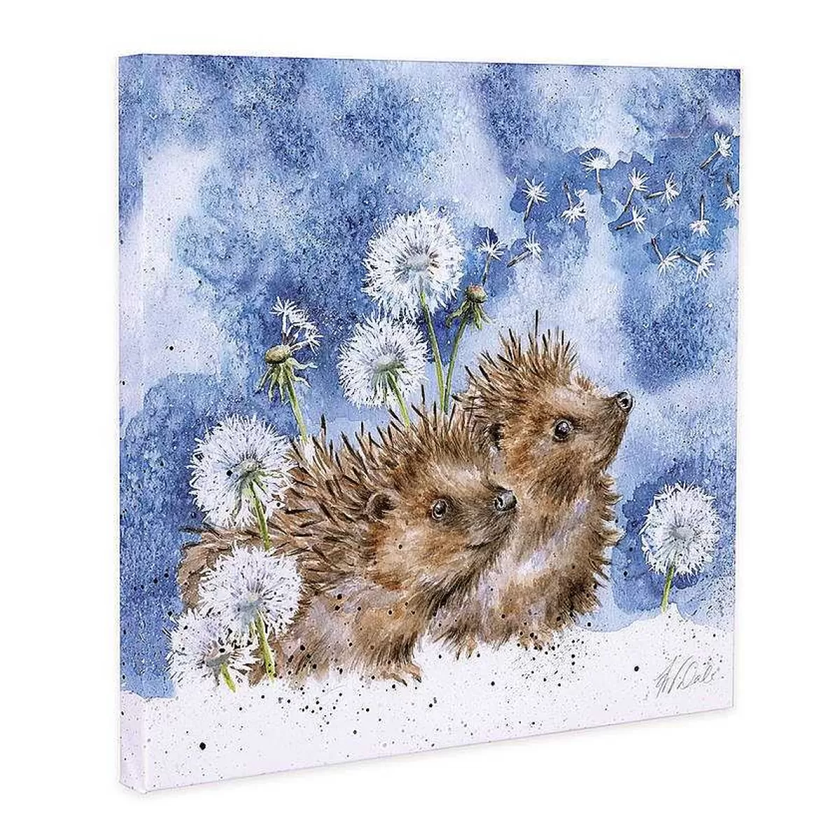 Canvas Prints>Wrendale Designs Brighter Days' Hedgehog Canvas