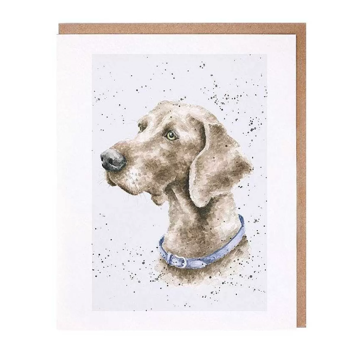 Dog Cards>Wrendale Designs Casper' Weimaraner Card