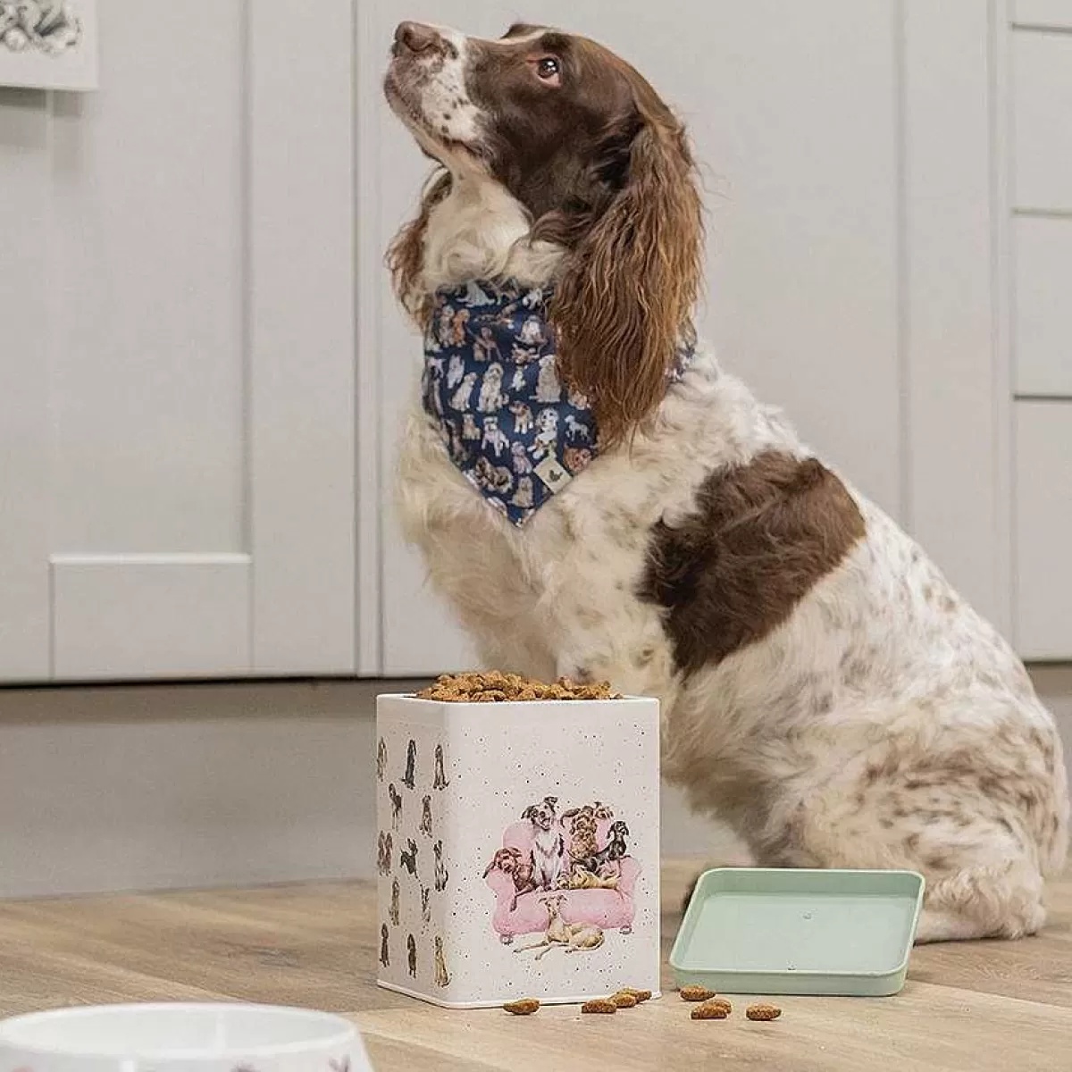 Gifts For Pets>Wrendale Designs Dog Treat Tin