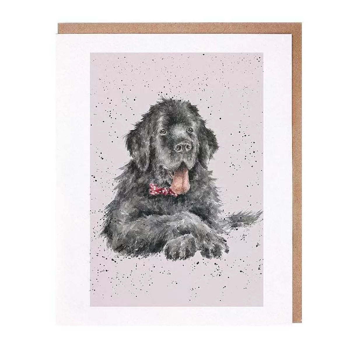 Dog Cards>Wrendale Designs Dudley' Newfoundland Card