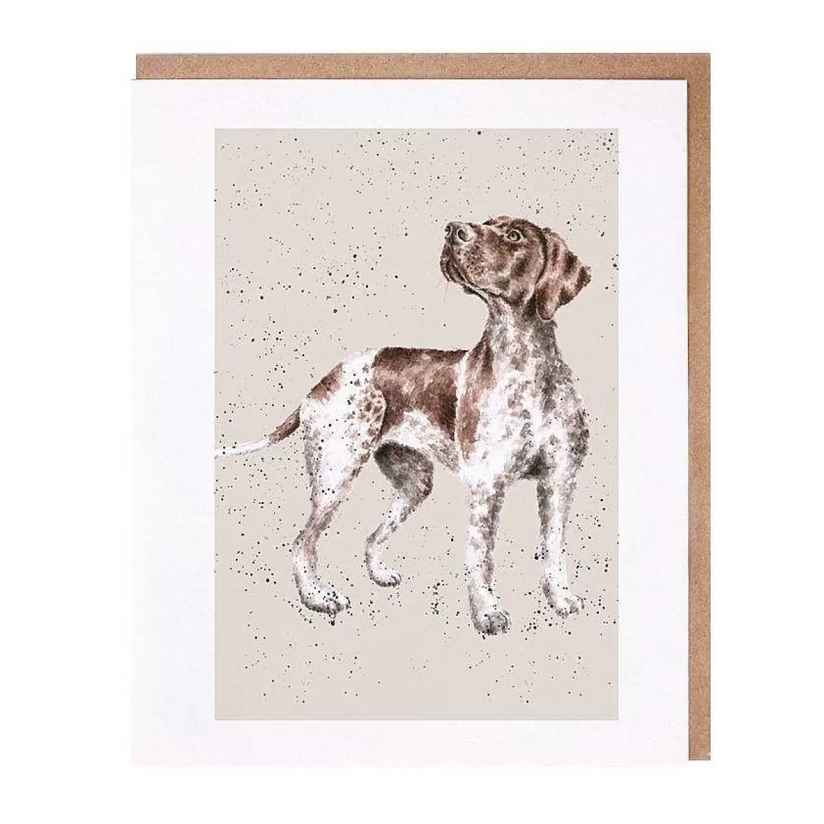 Dog Cards>Wrendale Designs Fara' Pointer Card