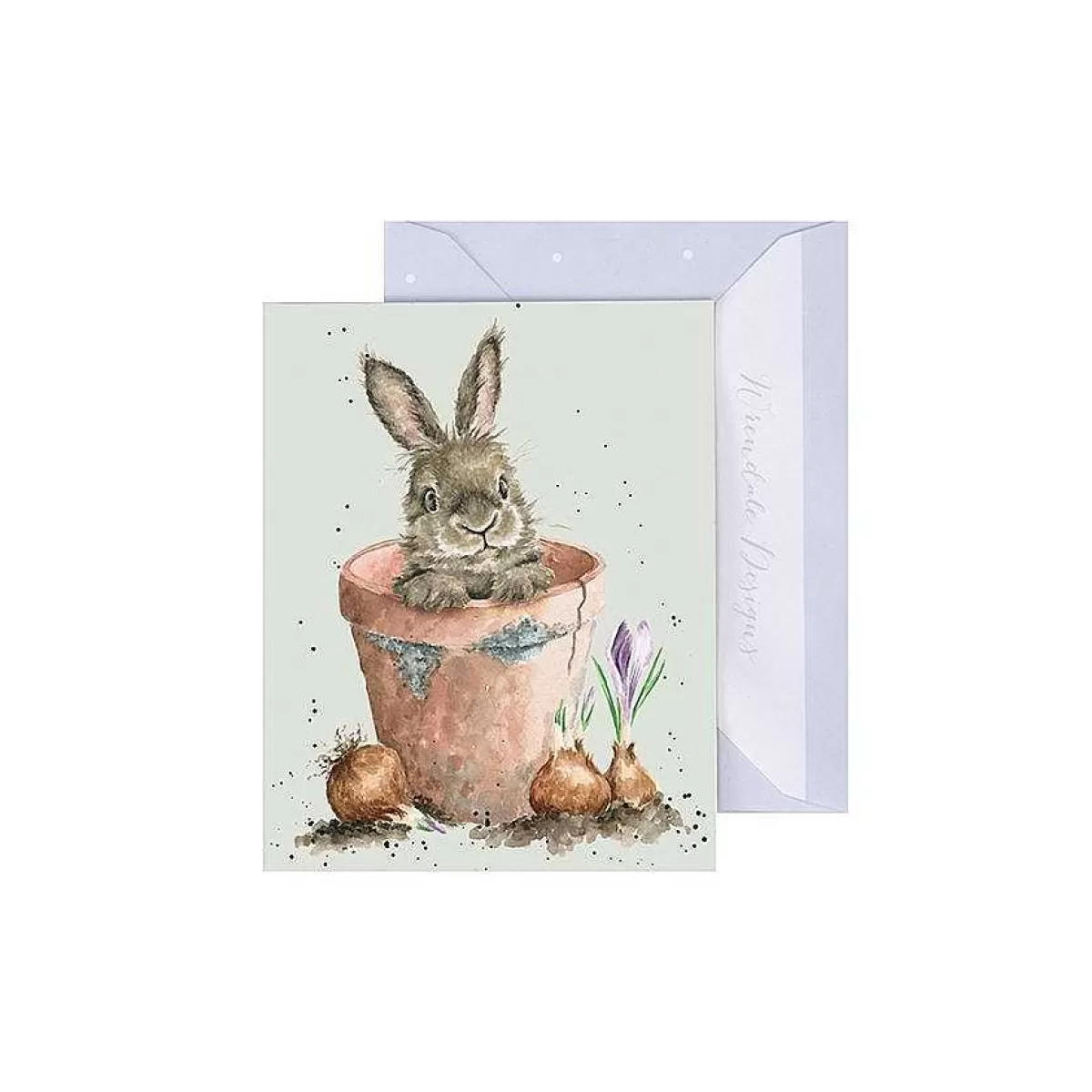 Gift Enclosure Cards>Wrendale Designs Flower Pot Bunny' Rabbit Enclosure Card