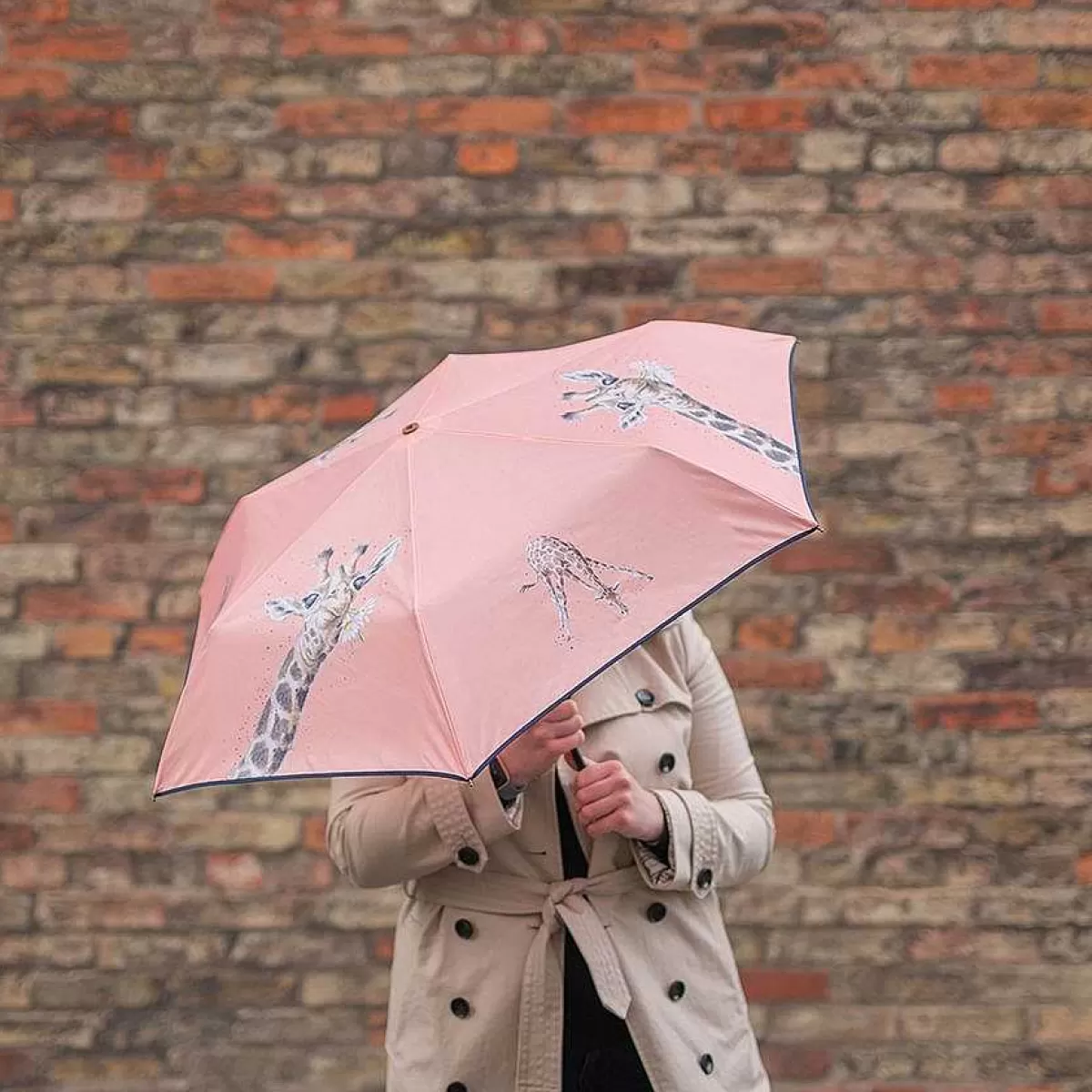 Umbrellas>Wrendale Designs Flowers' Giraffe Umbrella