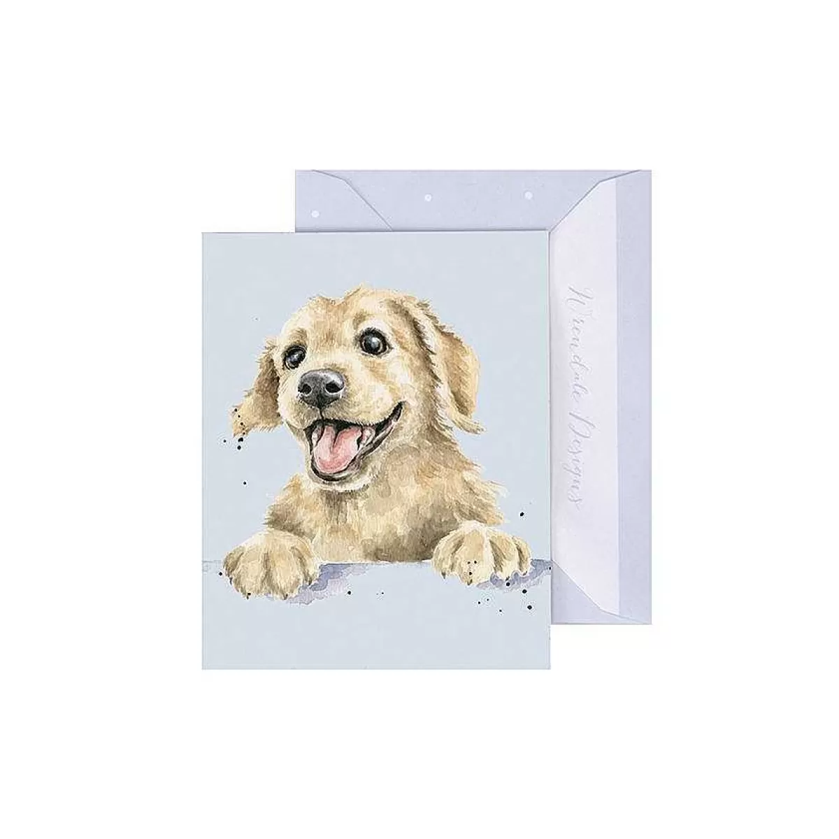 Gift Enclosure Cards>Wrendale Designs Golden Boy' Labrador Enclosure Card