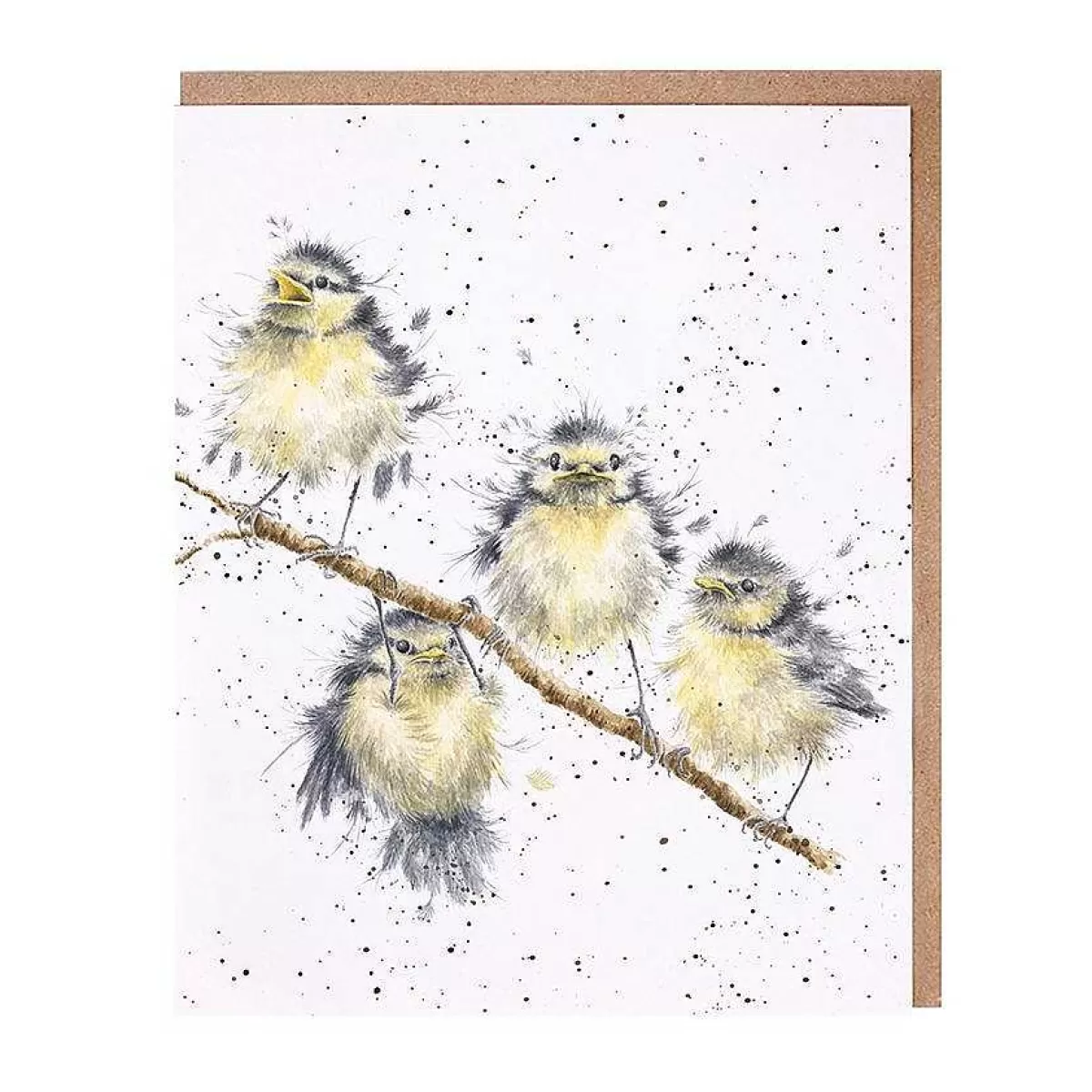 Notecards & Memo Blocks>Wrendale Designs Hanging Out' Bird Notecard Set