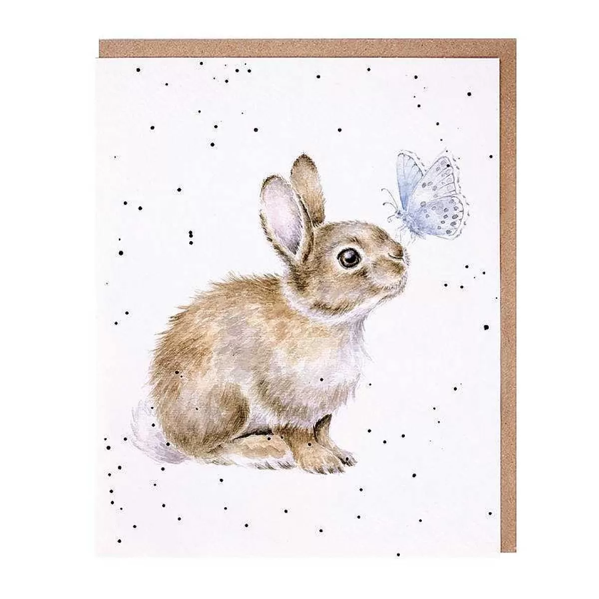 The Country Set>Wrendale Designs I Spy A Butterfly' Rabbit Card