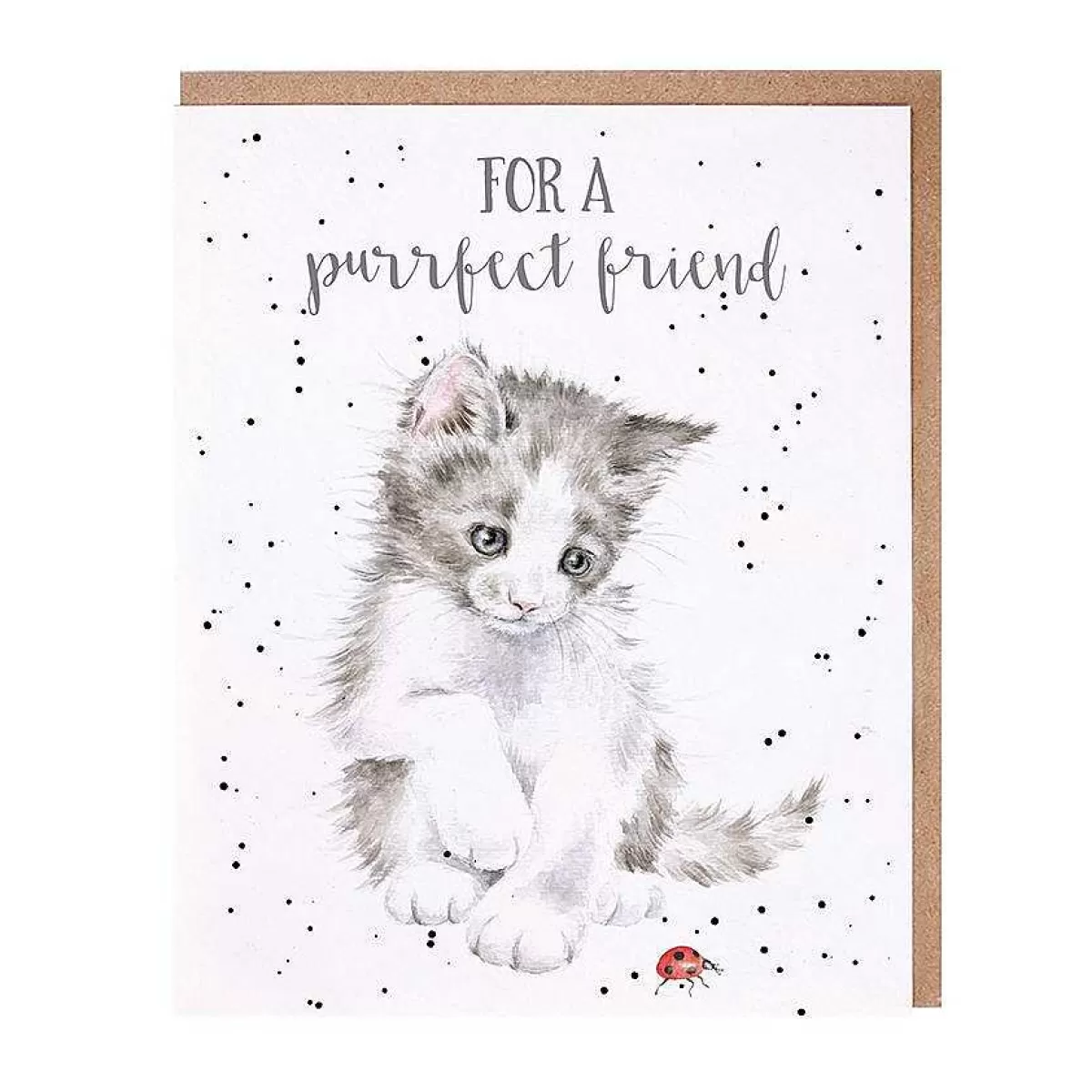 Friendship>Wrendale Designs Ladybird' Cat Friendship Card