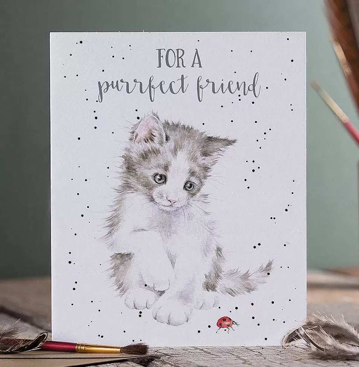 Friendship>Wrendale Designs Ladybird' Cat Friendship Card