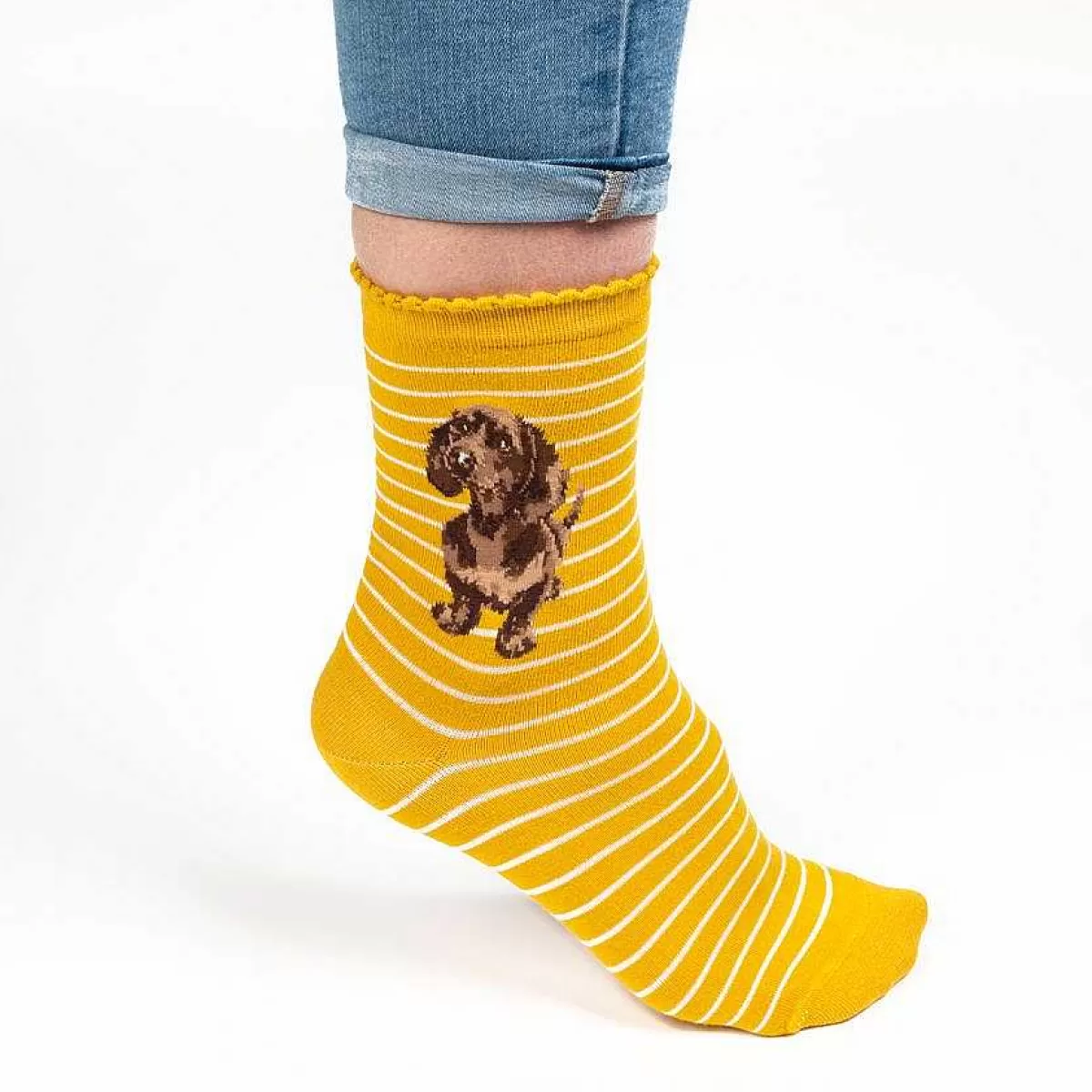 Socks>Wrendale Designs Little One' Dachshund Socks