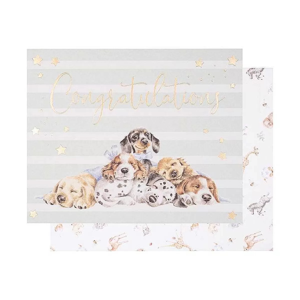 New Baby>Wrendale Designs Little Paws' Dog Card