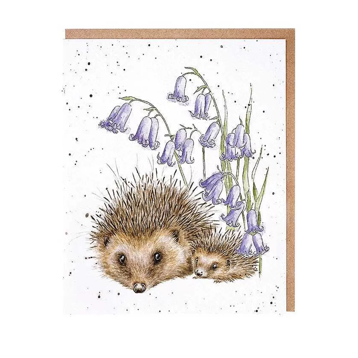 Notecards & Memo Blocks>Wrendale Designs New Beginnings' Hedgehog Notecard Set