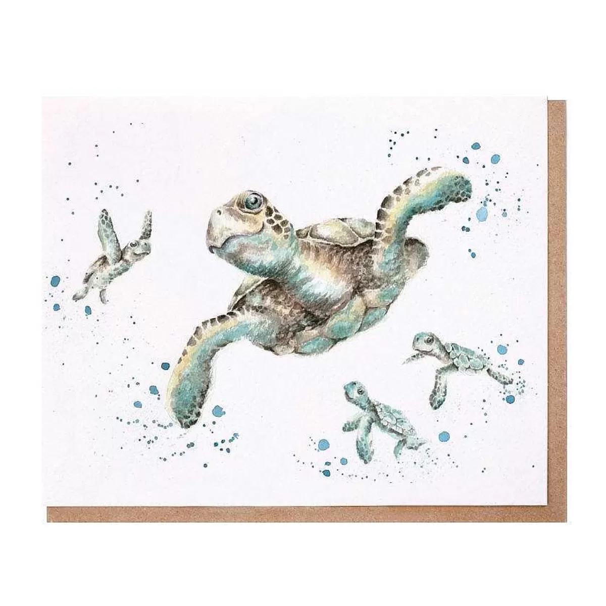 Father'S Day>Wrendale Designs Swimming School' Turtle Card