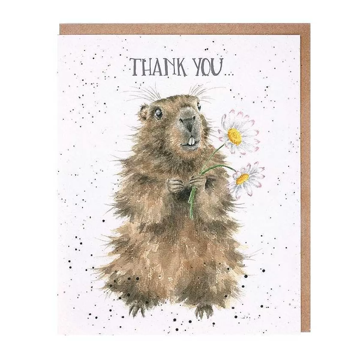 Thank You>Wrendale Designs Thank You' Marmot Thank You Card