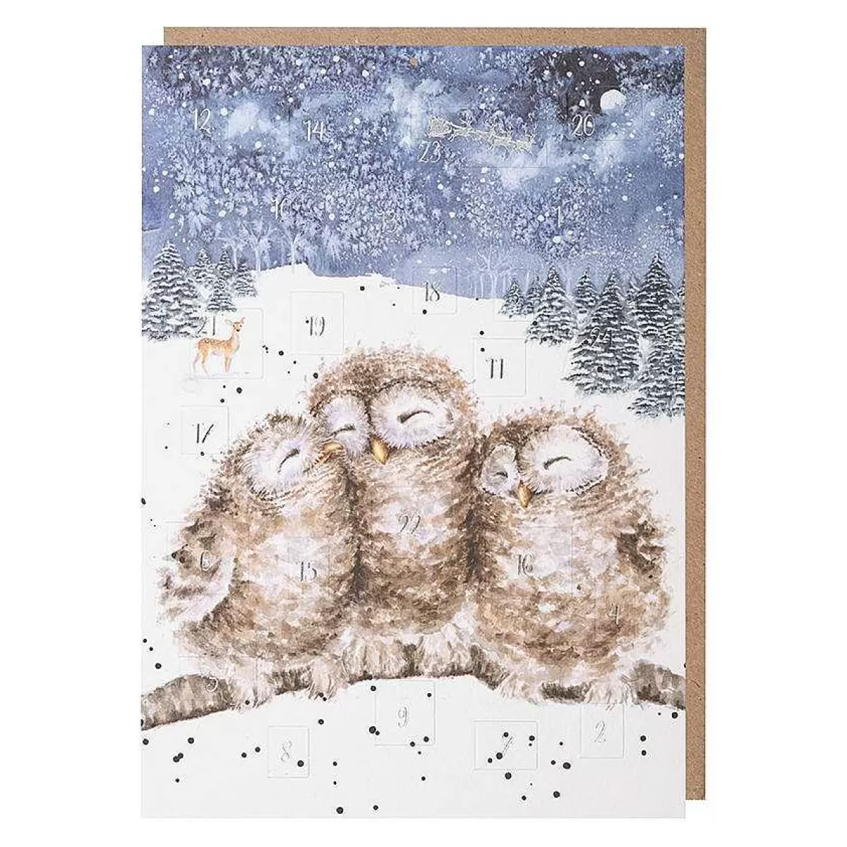 Advent Calendars>Wrendale Designs Three Wise Men' Owl Advent Calendar