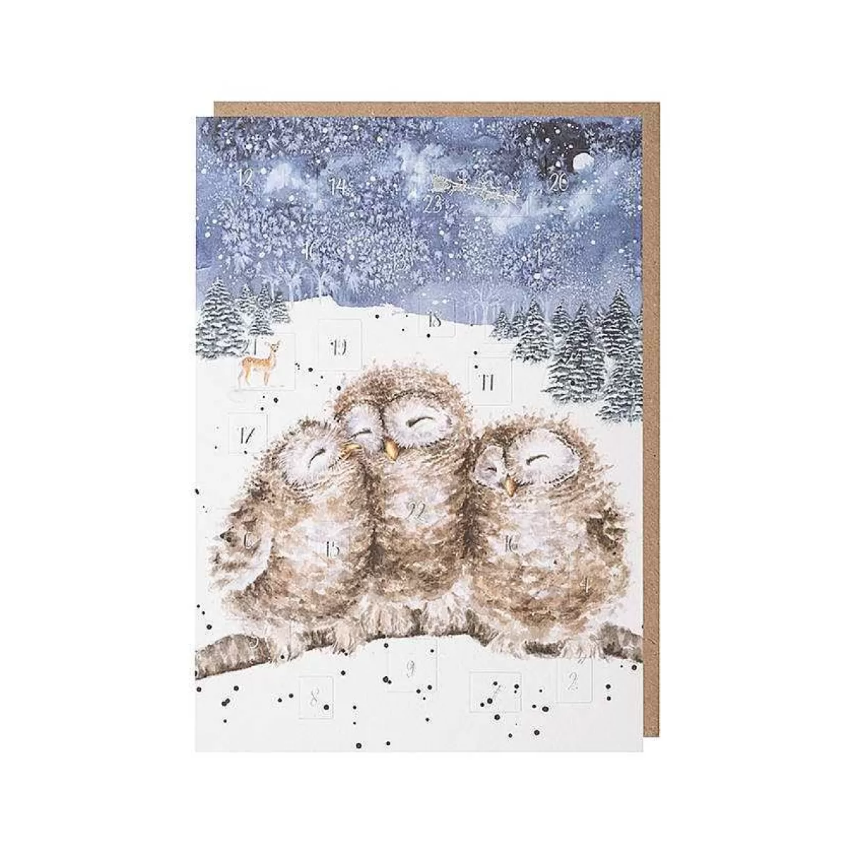 Advent Calendar Cards>Wrendale Designs Three Wise Men' Owl Advent Calendar Card