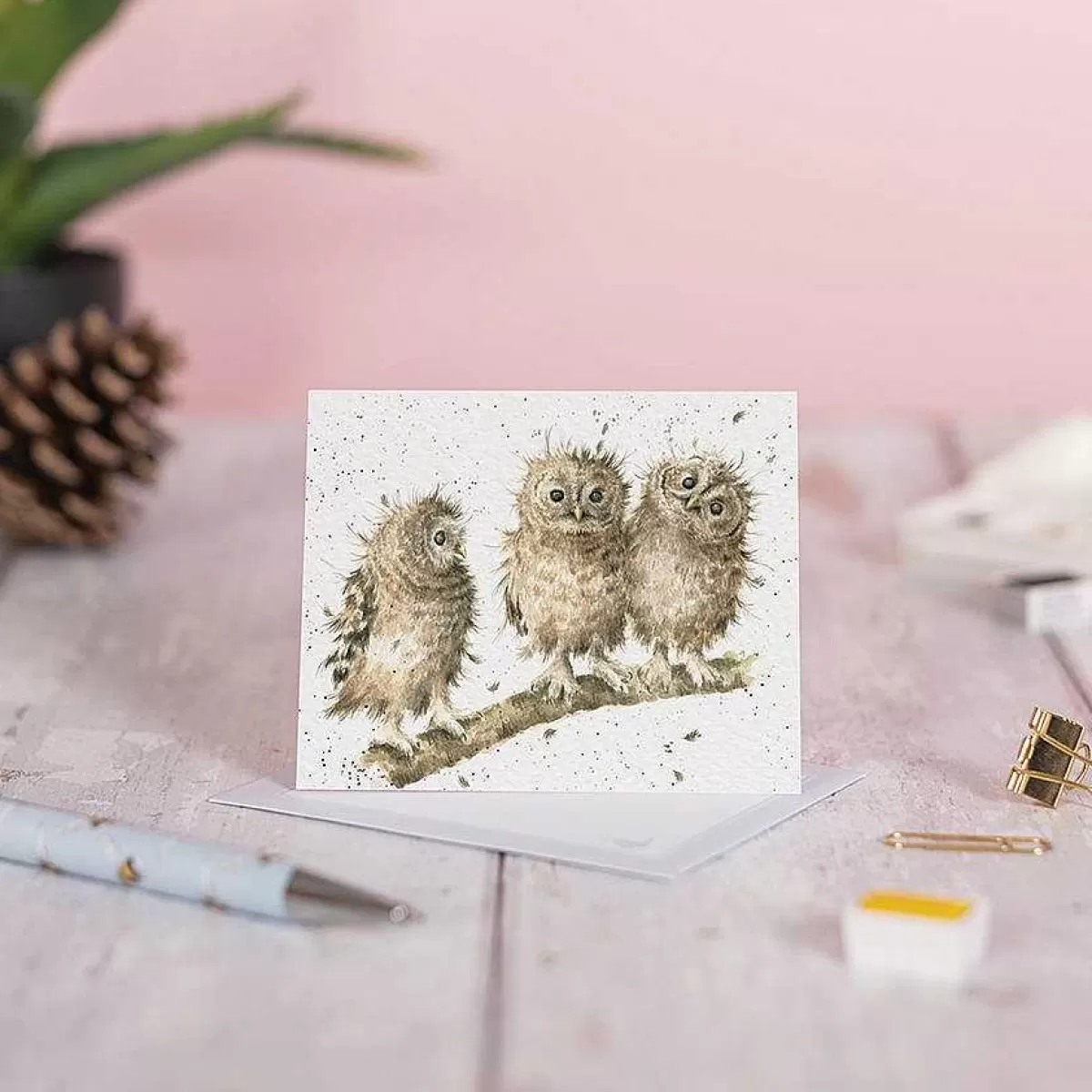 Gift Enclosure Cards>Wrendale Designs You First!' Owl Enclosure Card